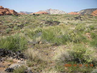 61 6gs. Snow Canyon - Hidden Pinyon trail
