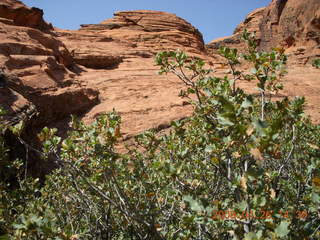 68 6gs. Snow Canyon - Hidden Pinyon trail