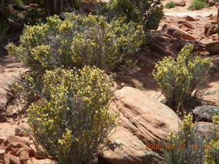 177 6gt. Snow Canyon - Lava Flow trail