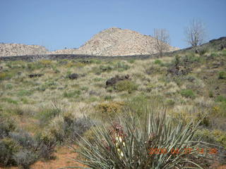208 6gt. Snow Canyon - Butterfly trail