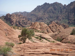 216 6gt. Snow Canyon - Petrified Dunes