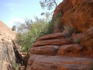 232 6gt. Snow Canyon - Petrified Dunes