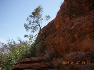 233 6gt. Snow Canyon - Petrified Dunes