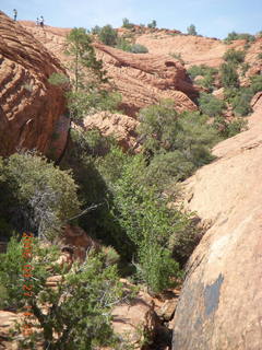 237 6gt. Snow Canyon - Petrified Dunes