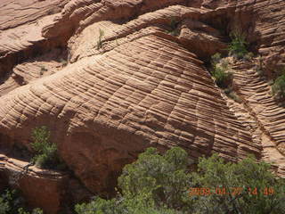 250 6gt. Snow Canyon - Petrified Dunes