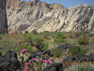 260 6gt. Snow Canyon - Lava Flow trail