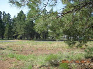Flagstaff run
