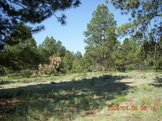 Flagstaff run
