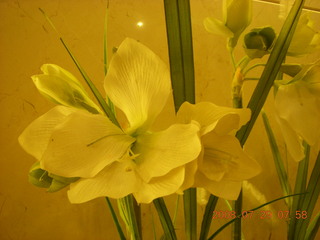 24 6kv. eclipse - Shanghai - hotel flowers