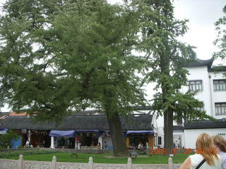 47 6kv. eclipse - Shanghai - Zhu Jia Jiao village