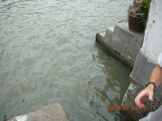 170 6kv. eclipse - Shanghai - Zhu Jia Jiao village - freeing the fish