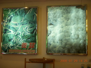 241 6kv. eclipse - Shanghai - silk factory