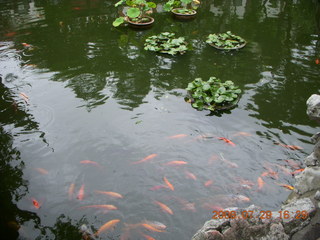 334 6kv. eclipse - Shanghai - Yuyuan Garden tour