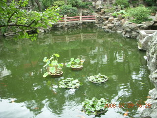 335 6kv. eclipse - Shanghai - Yuyuan Garden tour