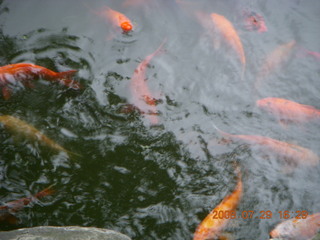 336 6kv. eclipse - Shanghai - Yuyuan Garden tour