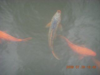 378 6kv. eclipse - Shanghai - Yuyuan Garden tour