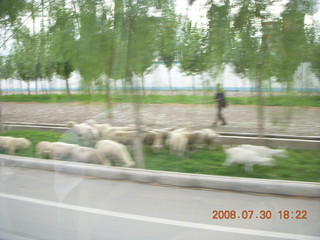 87 6kw. eclipse - Jiayugan