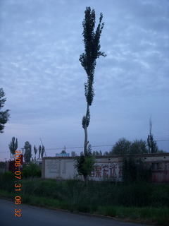 24 6kx. eclipse - Jiuquan - morning run - tall tree