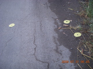 32 6kx. eclipse - Jiuquan - morning run - funeral flower petals