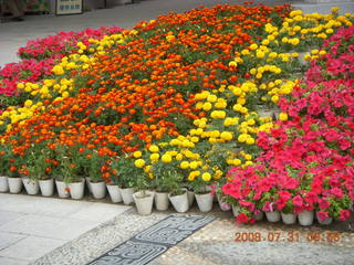 124 6kx. eclipse - Jiuquan park flowers