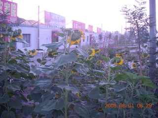 8 6l1. eclipse - Jiuquan morning run