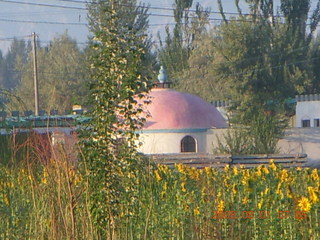 50 6l1. eclipse - Jiuquan morning run - greenhouse