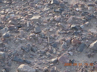 300 6l1. eclipse - Jiayuguan - Gobi Desert - afterward - lizard