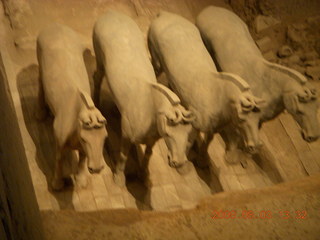175 6l3. eclipse - Xi'an - Terra Cotta warriors