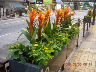 23 6l5. eclipse - Hong Kong morning run