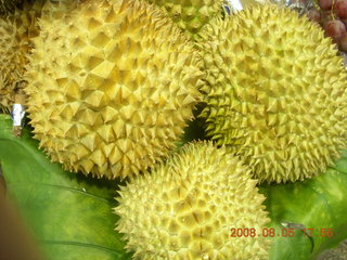 253 6l5. eclipse - Hong Kong - durian