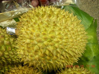 254 6l5. eclipse - Hong Kong - durian