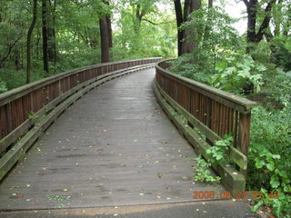 Shore AC XC - Thompson Park - wooden bridge