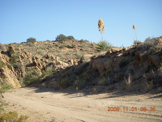 Bagdad run