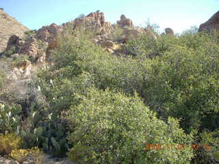 Bagdad run