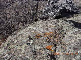 202 6pq. Black Canyon of the Gunnison National Park view