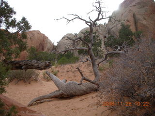 104 6pr. Arches National Park - Devils Garden trail