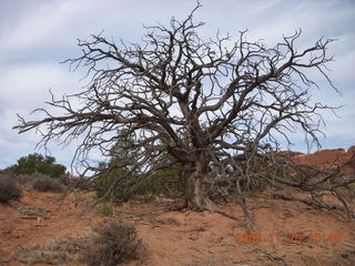 109 6pr. Arches National Park - Devils Garden - Dark Angel trail