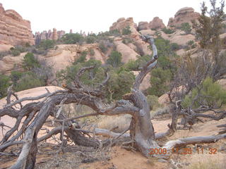 139 6pr. Arches National Park - Devils Garden - Primitive trail