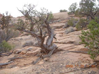 143 6pr. Arches National Park - Devils Garden - Primitive trail