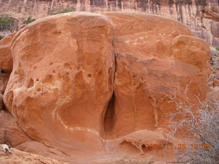 154 6pr. Arches National Park - Devils Garden - Primitive trail - suggestive rock