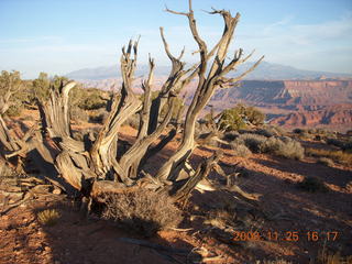 256 6pr. Dead Horse Point State Park