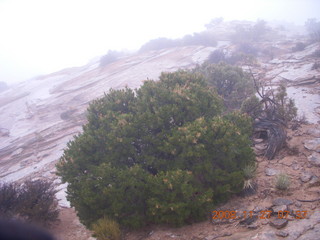 23 6pt. Canyonlands National Park - Lathrop trail hike