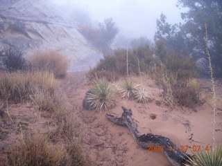 26 6pt. Canyonlands National Park - Lathrop trail hike