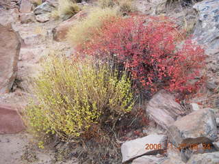 43 6pt. Canyonlands National Park - Lathrop trail hike