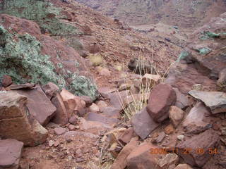 60 6pt. Canyonlands National Park - Lathrop trail hike