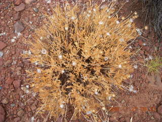 73 6pt. Canyonlands National Park - Lathrop trail hike