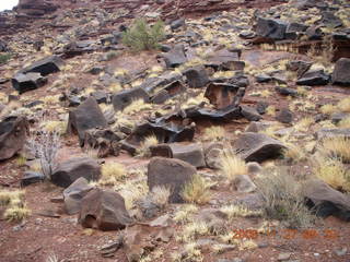 93 6pt. Canyonlands National Park - Lathrop trail hike