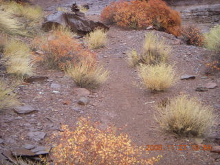 214 6pt. Canyonlands National Park - Lathrop trail hike