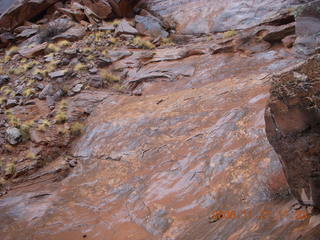 236 6pt. Canyonlands National Park - Lathrop trail hike