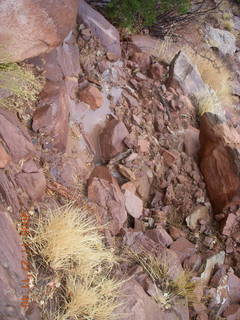 238 6pt. Canyonlands National Park - Lathrop trail hike